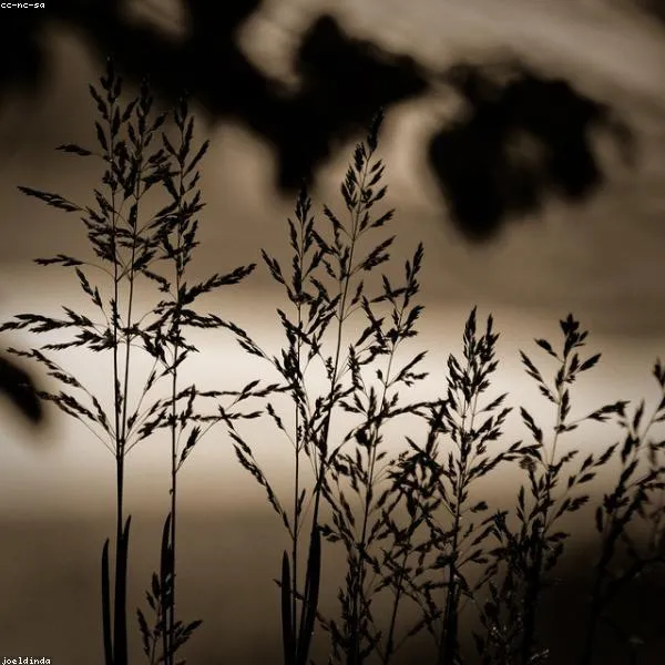 Magazinlik A4
