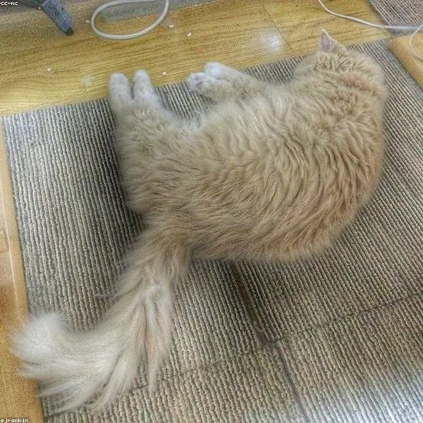 Ahşap Telefon Standı